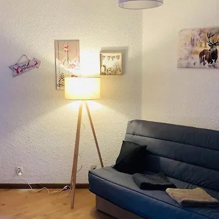 Apartment -30 Reduction Sur Location Skis Et Materiel ! 2 Alpes Coeur Station *