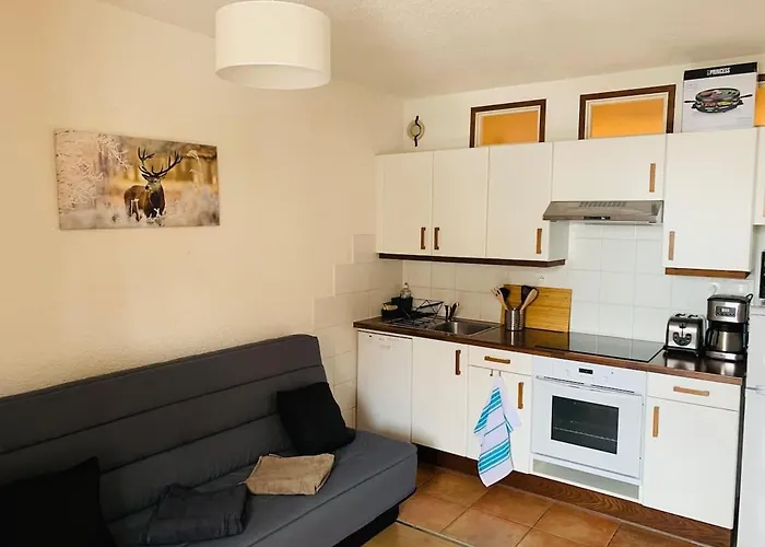 -30 Reduction Sur Location Skis Et Materiel ! 2 Alpes Coeur Station Апартаменты *